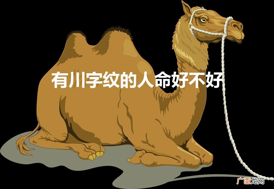 川字纹手相的命运如何 有川字纹的人命好不好