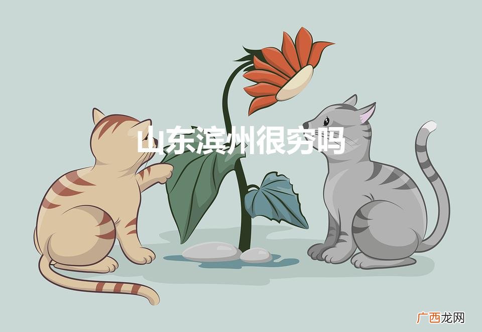 为什么滨州经济发展不起来 山东滨州很穷吗