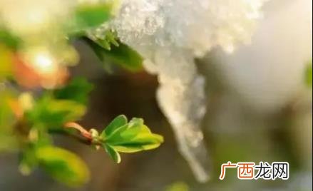 2022年立春是哪一天的什么时候 ?2022年立春是哪一天的什么时候
