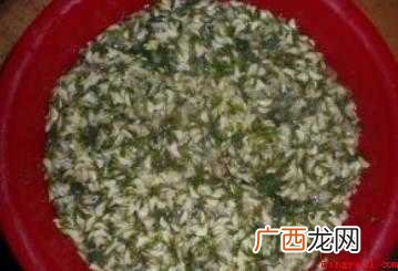 槐花饼的做法是什么