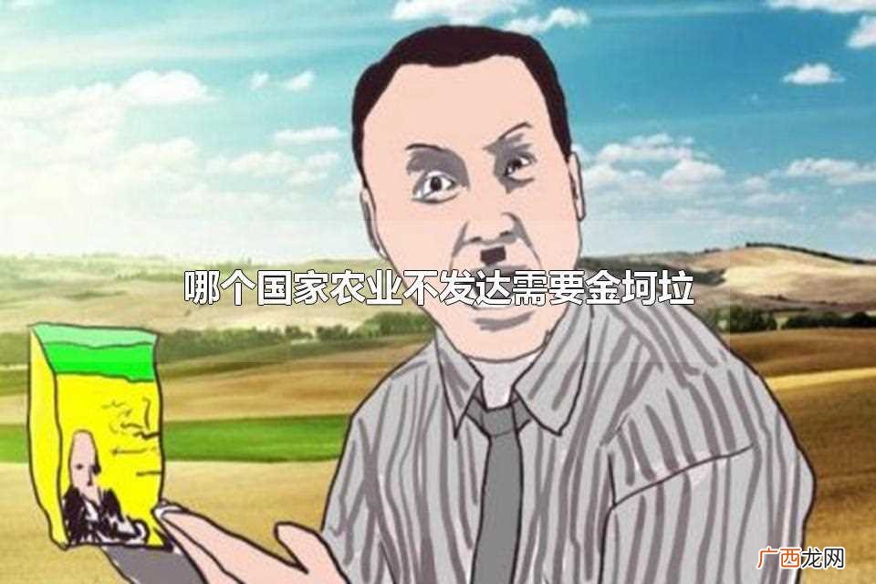 句子的全句是 哪个国家农业不发达需要金坷垃