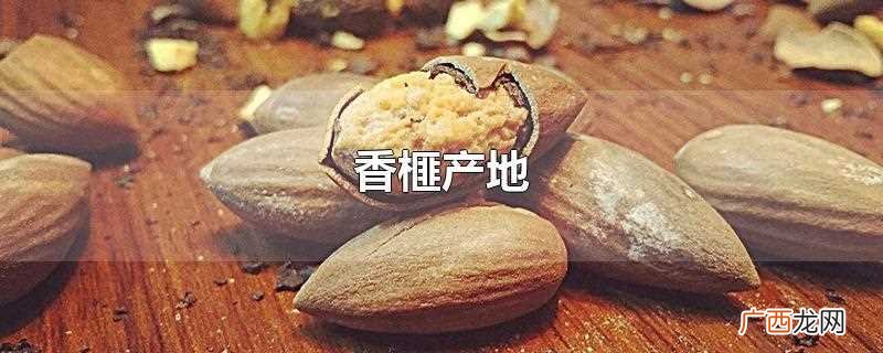 香榧产地 香榧产地在哪里
