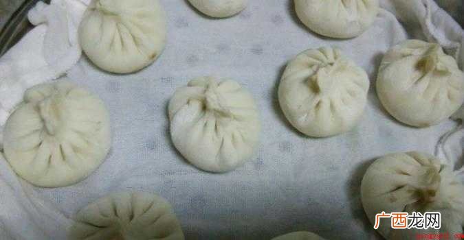牛肉包子馅的做法是什么