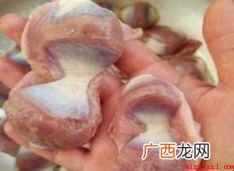 鸭胗怎么切花 切花的方法 鸭胗怎么切花