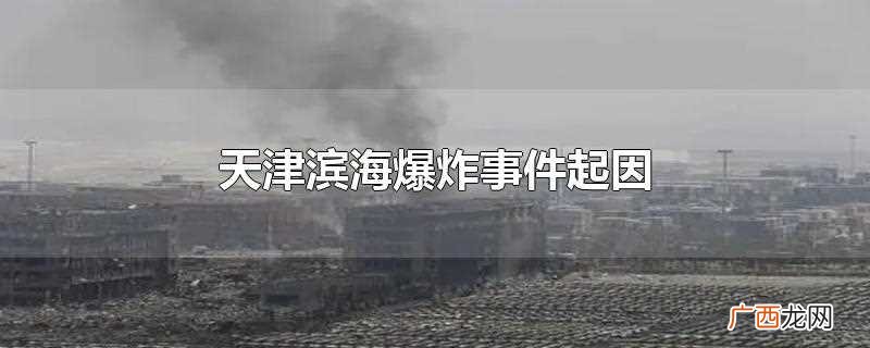 天津滨海爆炸是因为硝酸铵等危险化学品发生爆炸 天津滨海爆炸事件起因