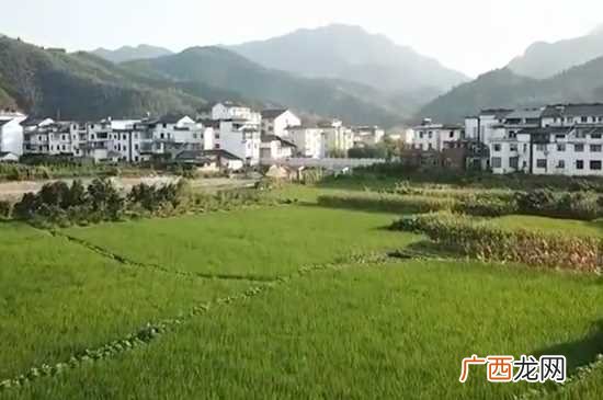 庐山在哪个省哪个市 庐山在哪个省