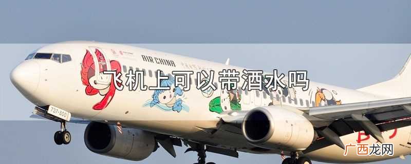 坐飞机可以带酒水吗 飞机上可以带酒水吗