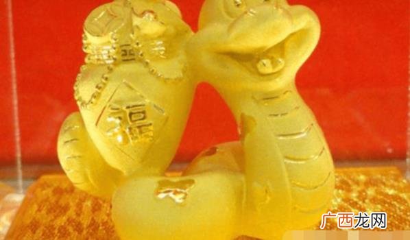 蛇年生肖的人今年是否适合投资理财 蛇年生肖今年是否适合投资理财