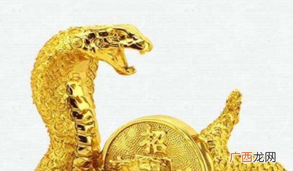 蛇年生肖的人今年是否适合投资理财 蛇年生肖今年是否适合投资理财