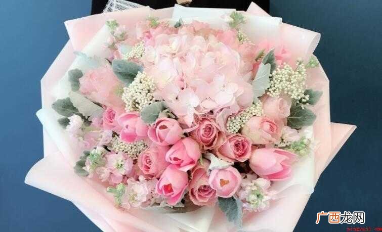 19朵粉红色玫瑰花代表什么意思