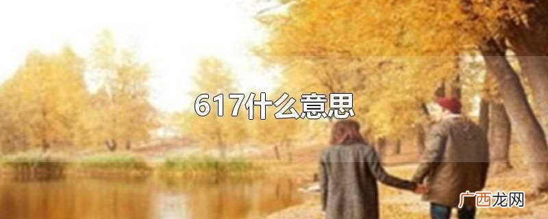 用数字代替词语的交流方式 617什么意思