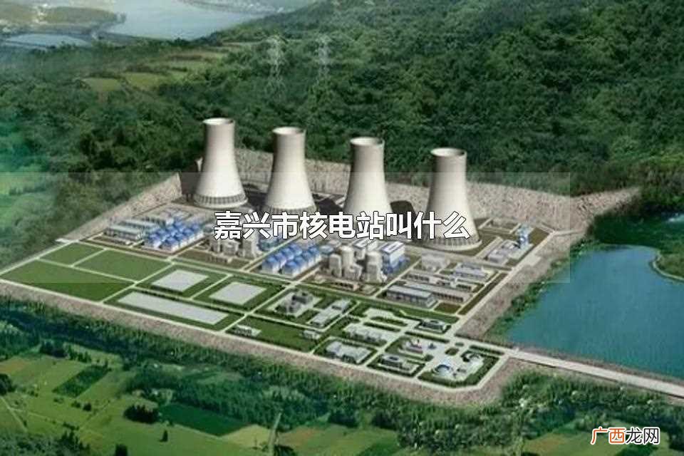 嘉兴核电站叫什么 嘉兴市核电站叫什么
