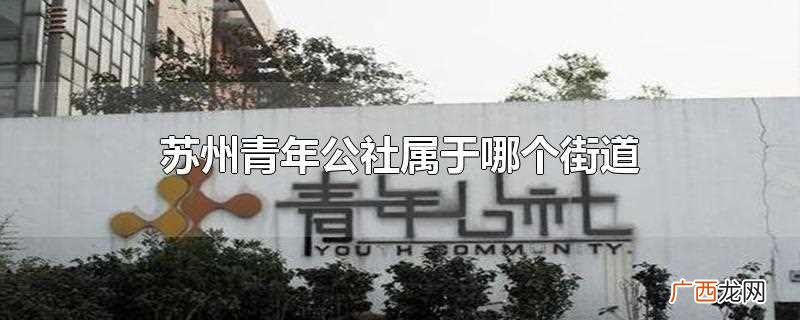苏州青年公社位于苏州工业园区钟园路1号 苏州青年公社属于哪个街道