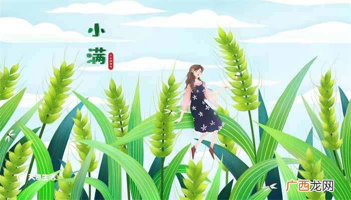 描写小满的诗句有:宋代欧阳修 小满经典诗句