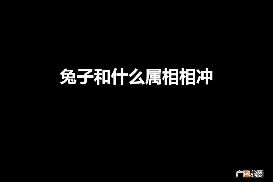 兔子和什么属相最配对 兔子和什么属相相冲