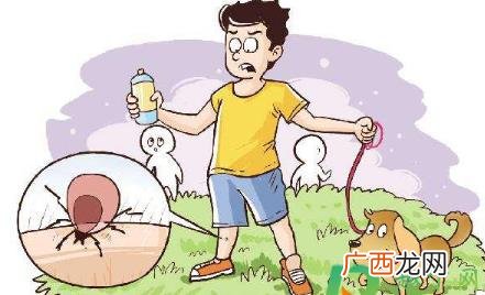 蜱虫咬人后会自己出来吗 蜱虫咬人会自己离开吗