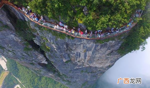 张家界跳崖事件原因 张家界天门山跳崖事件最近