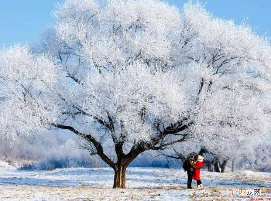 雪:从混合云中降落到地面的雪花形态的固体水 雪的形成过程是什么