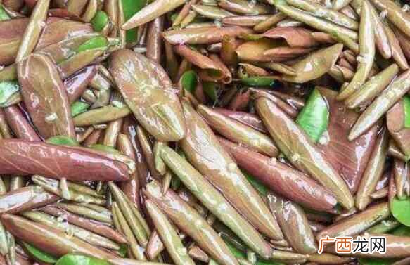 莼菜是什么