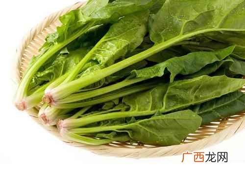 菠菜功效与作用是什么 菠菜功效与作用