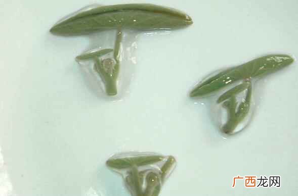 莼菜多少钱一斤