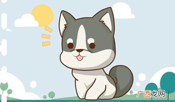 狗年生肖的人们开始关注自己的财运 狗年生肖今年财运如何