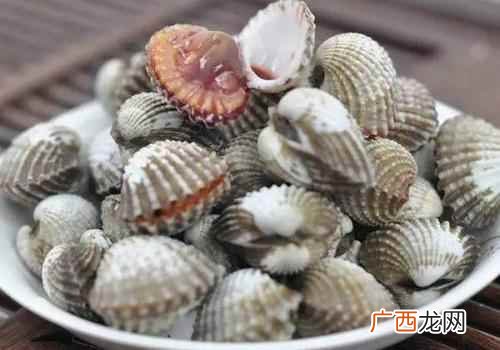 血蛤的功效与作用禁忌 血蛤的功效与作用