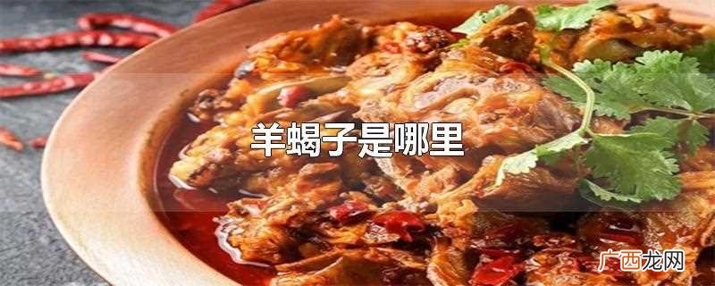 羊蝎子是哪里的特色菜 羊蝎子是哪里的肉