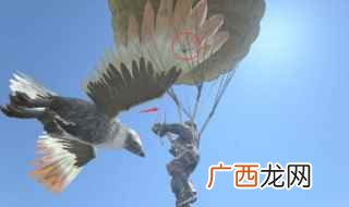 霸王龙蛋饲料的做法 风神翼龙吃什么饲料