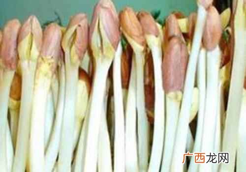 花生芽的培育方法 花生芽的功效与作用