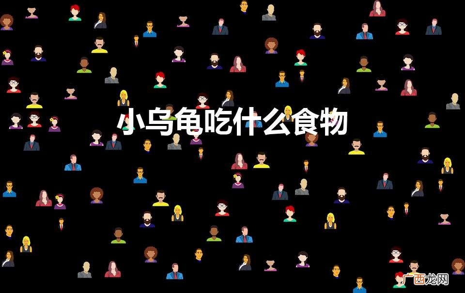 常见的 家养的小乌龟能吃什么 小乌龟吃什么食物