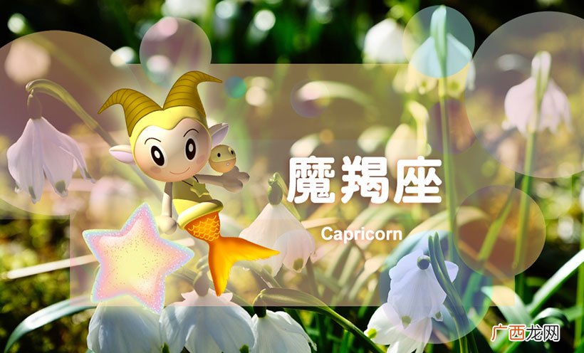 金牛座最有缘分的星座排行 12星座谁喜欢金牛座