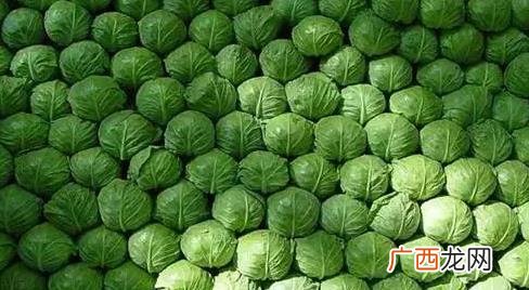 包菜炒不熟怎么回事 包菜炒不熟怎么办