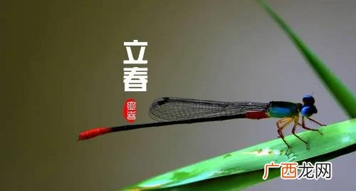2023年第二个春是哪天 2023年是一个春还是两个春