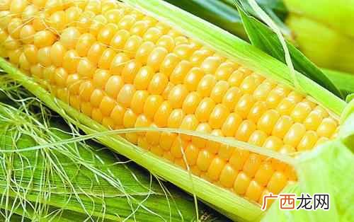减肥吃什么好一日三餐 减肥吃什么好