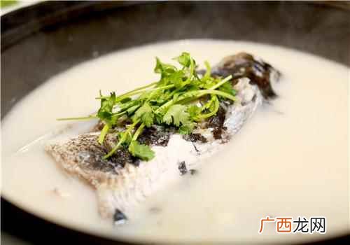 炖鱼头汤用什么鱼比较好 炖鱼头汤用什么鱼