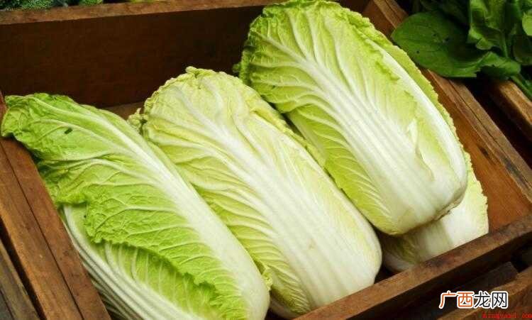 白菜是否能生吃 白菜能生吃吗