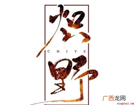 小说《炽野》内容简介是什么