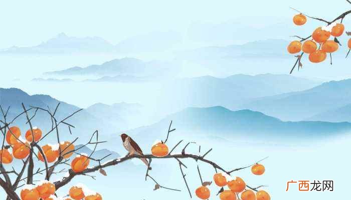 柿子是哪个国家的水果 柿子是哪个国家的