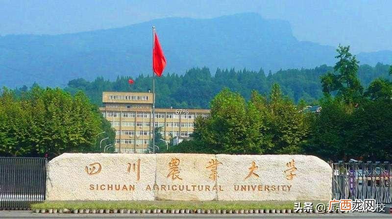 四川农业大学与华南农业大学哪个强 川农是985还是211学校