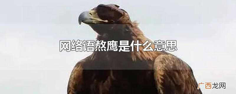 熬鹰一般是指特别能熬夜的意思 网络语熬鹰是什么意思
