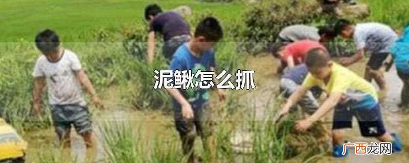 泥鳅可以使用以下方式抓 泥鳅怎么抓