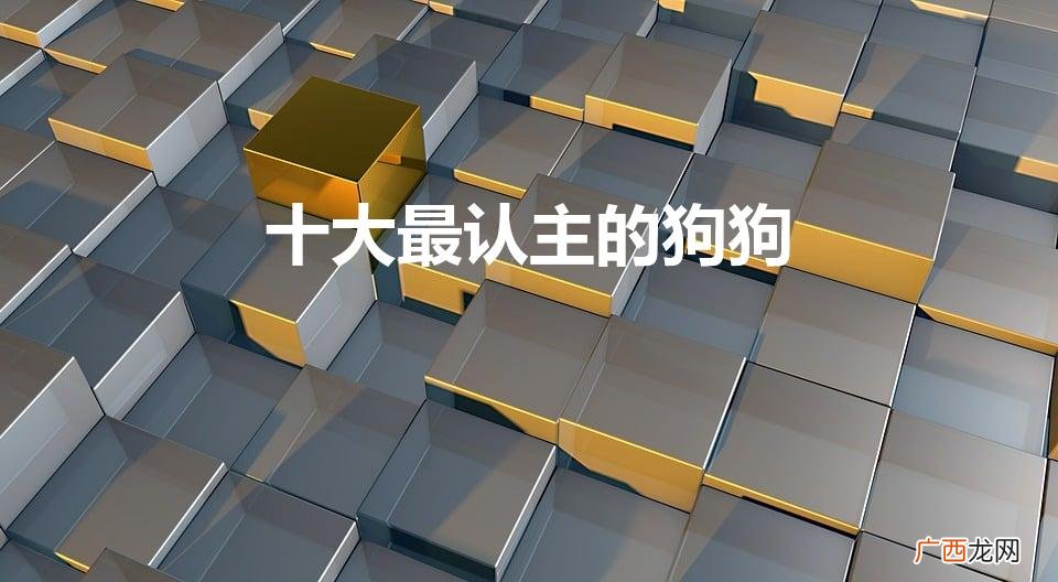 十大最认主的狗狗（一生只认一个主人的狗排名)
