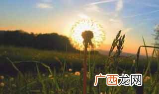 英语唯美治愈系句子 英语短句唯美超短句带翻译
