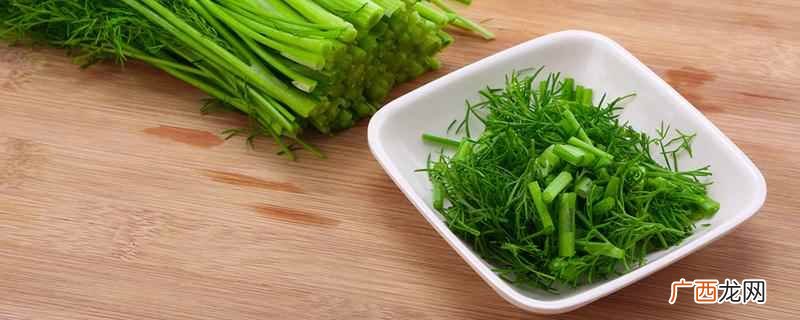 茴香饺子吃了有什么好处和坏处 茴香饺子吃了有什么好处