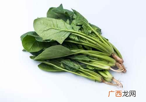 菠菜可以天天吃吗 菠菜可以每天吃吗