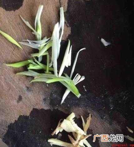 酸辣肚丝汤的做法是什么