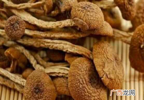 茶树菇怎么泡发