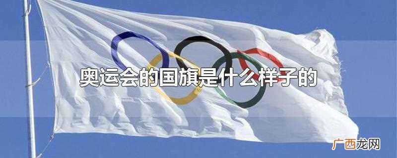 为何俄罗斯奥运会不用国旗 奥运会的国旗是什么样子的