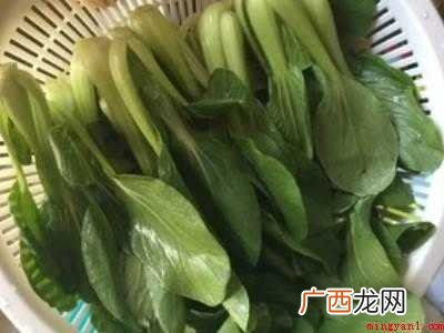青菜怎么做好吃